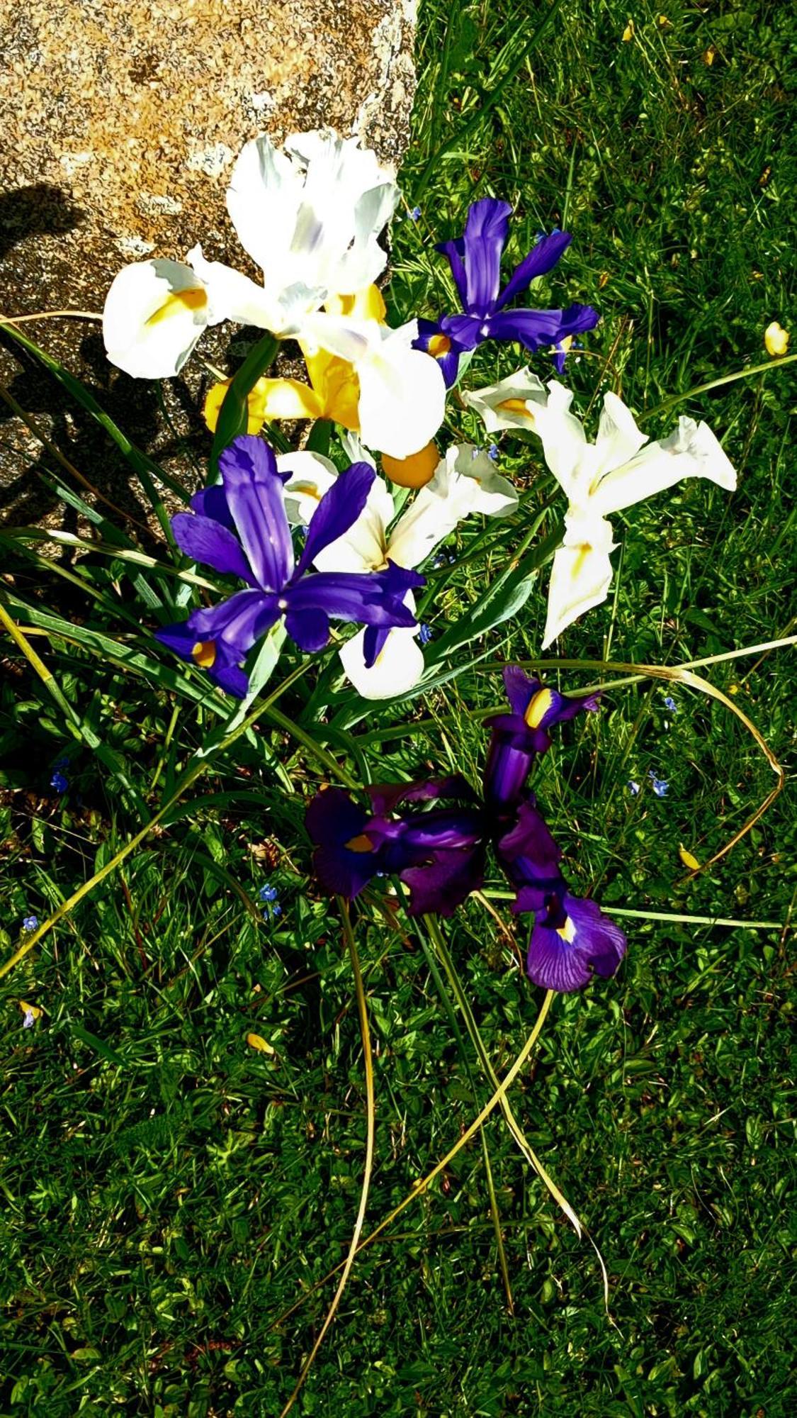 Gite En Campagne Lamegritniere 외부 사진