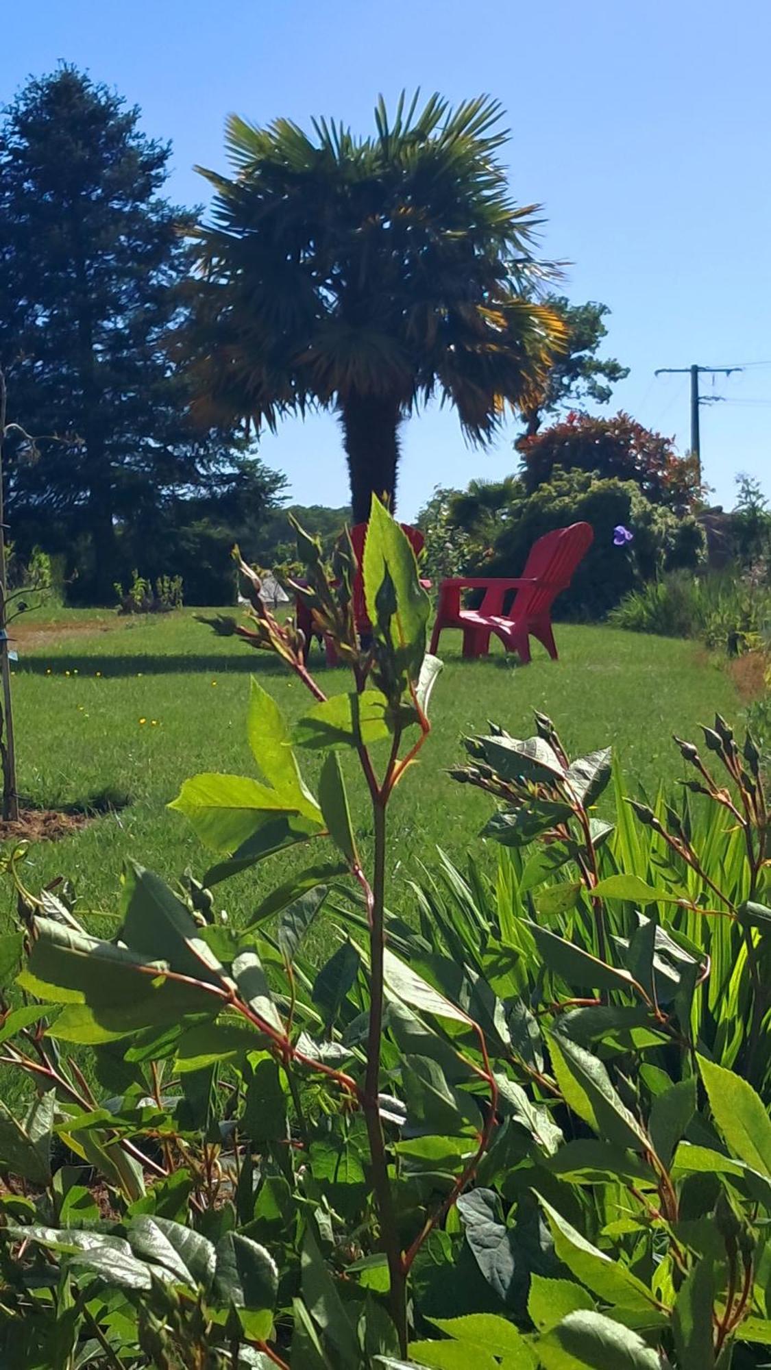 Gite En Campagne Lamegritniere 외부 사진